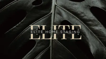 Elite Home Staging Florida